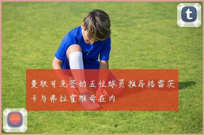曼联可免签的五位球员推荐格雷茨卡与弗拉霍维奇在内
