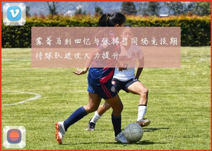 蒙哥马利回忆与张稀哲同场竞技期待球队进攻火力提升
