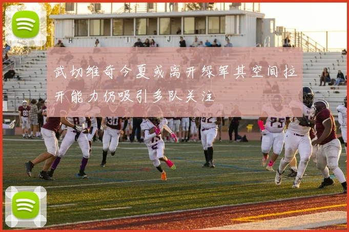武切维奇今夏或离开绿军其空间拉开能力仍吸引多队关注